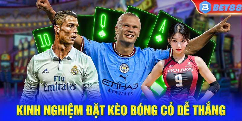 Kinh nghiệm đặt kèo bóng cỏ dễ thắng