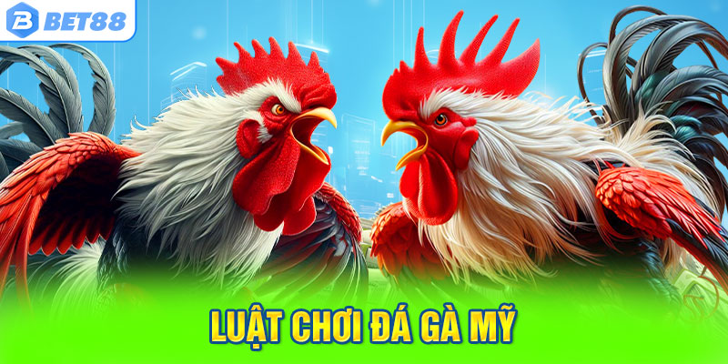 Luật Chơi Đá Gà Mỹ